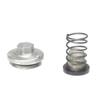KIT TORNILLO DE DRENADO Y CEDAZO ACEITE RAY ZR CYGNUS ALPHA