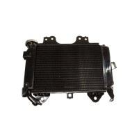 RADIADOR COMPLETO P/ PULSAR 200NS