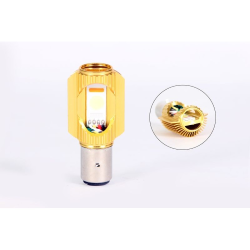 FOCO PARKER LED ENTRADA BOLA LUZ BLANCA 95V 18W CUERPO DORADO