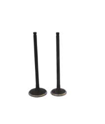 VALVULAS ADMISION/ESCAPE P/ FT 125 125Z CGL 125 TOOL