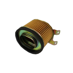 ELEMENTO FILTRO DE AIRE P/ ELITE 125 CRUISING 125