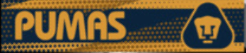 LLAVERO CON CINTA GRANDE PUMAS
