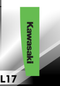 MANGAS KAWASAKI COLOR VERDE