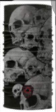 BANDANA CALAVERAS FONDO COLOR NEGRO