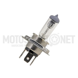 FOCO FARO H4 P43T 12V 35/35W