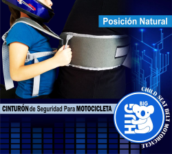 BIG HUG ARNES DE SEGURIDAD PARA NIÑOS