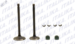 VALVULAS DE ADMISION/ESCAPE P/ FT 200 DT 200 TC 200