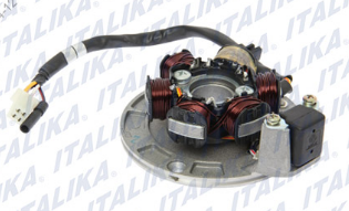 ESTATOR 6 BOBINAS FT 110 C/PLATO