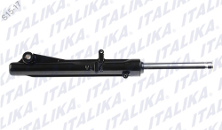 SUSPENSION IZQUIERDA XT 110RT