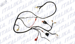 ARNES PRINCIPAL DS 150 CABLEADO CABLES