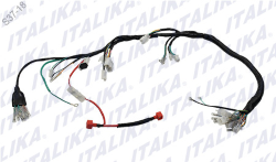 ARNES PRINCIPAL FT 125 CABLEADO CABLES