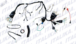 ARNES PRINCIPAL FT 150 DT 150SPORT CABLEADO CABLES