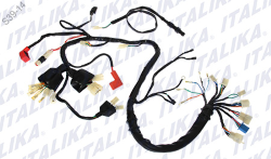 ARNES PRINCIPAL RC 150 CABLEADO CABLES