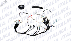 ARNES PRINCIPAL P/ FT 150GT CABLEADO CABLES