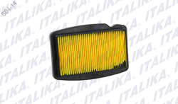 ELEMENTO FILTRO AIRE 250Z
