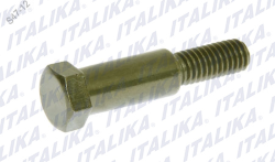 TORNILLO MANIJA DE FRENO DELANTERO DS 150 GS 150 GTS 175 BIRLO