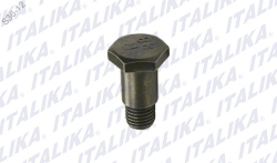 TORNILLO HEXAGONAL P/ PARADOR LATERAL BIRLO