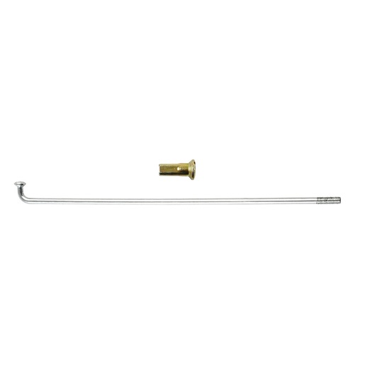 RAYO EXTERNO RUEDA DELANTERA FT 150GT