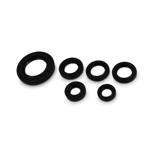 RETENES DE MOTOR P/ ATV 150 DS 150 WS 150 CUATRIMOTO EMPAQUE