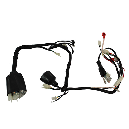 ARNES COMPLETO P/ XEVERUS 250 CABLEADO CABLES