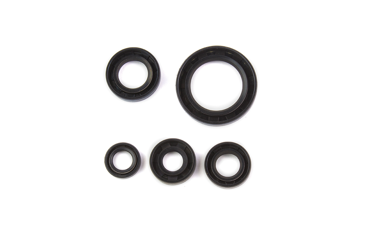 RETENES DE MOTOR P/ FT 150 (5 PZAS) EMPAQUE