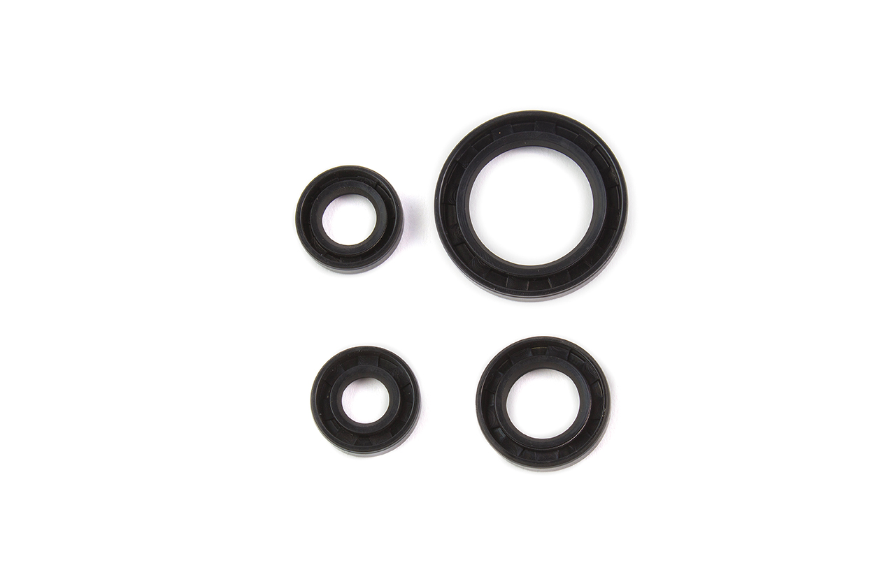 RETENES DE MOTOR P/ FT 125 CG 125 CGL 125 TOOL (4 PZAS) EMPAQUE